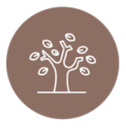 logo simple de nathalie martin